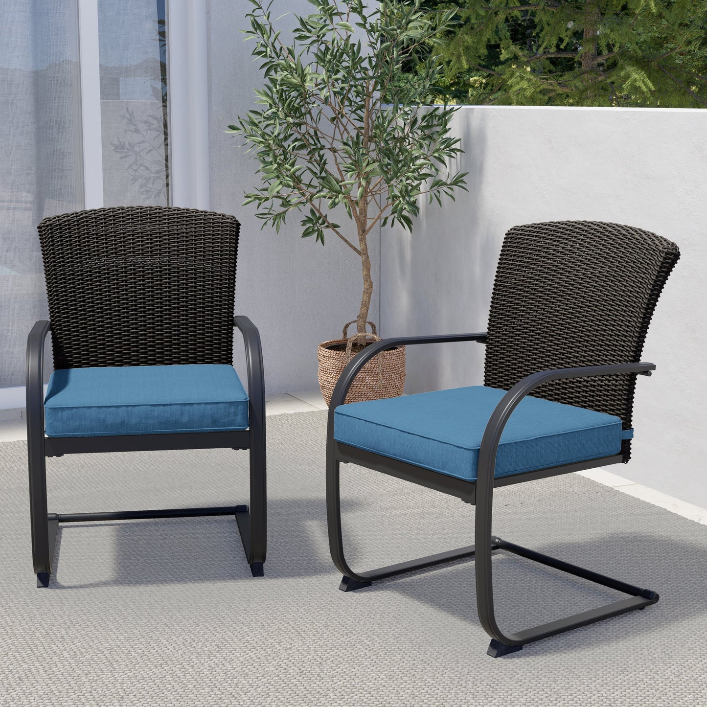 Dining Wicker Chair Set, Steel Frame Chair with Cushion