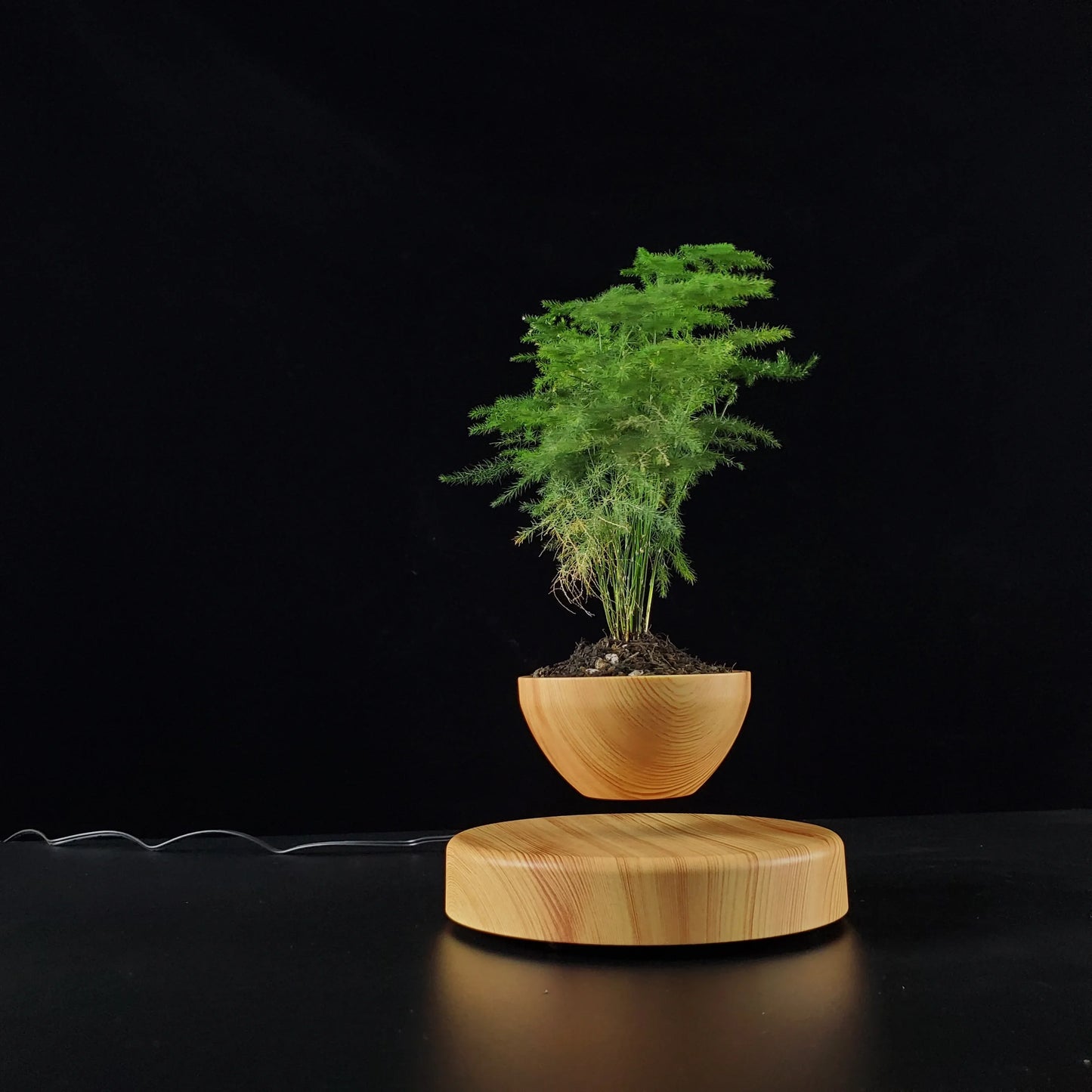 Levitating Flower Pot Round Base