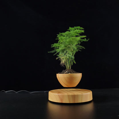 Levitating Flower Pot Round Base