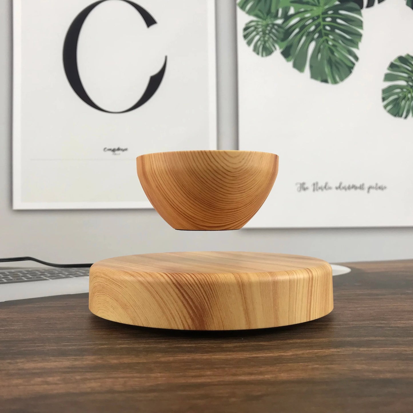 Levitating Flower Pot Round Base