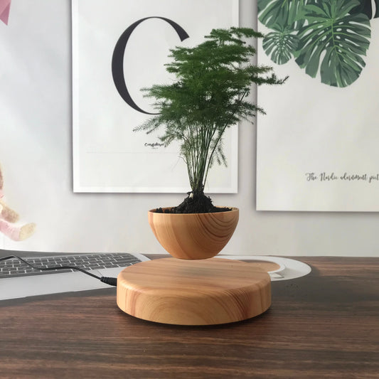 Levitating Flower Pot Round Base
