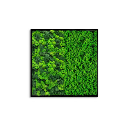 Half Moss Art Square Frame