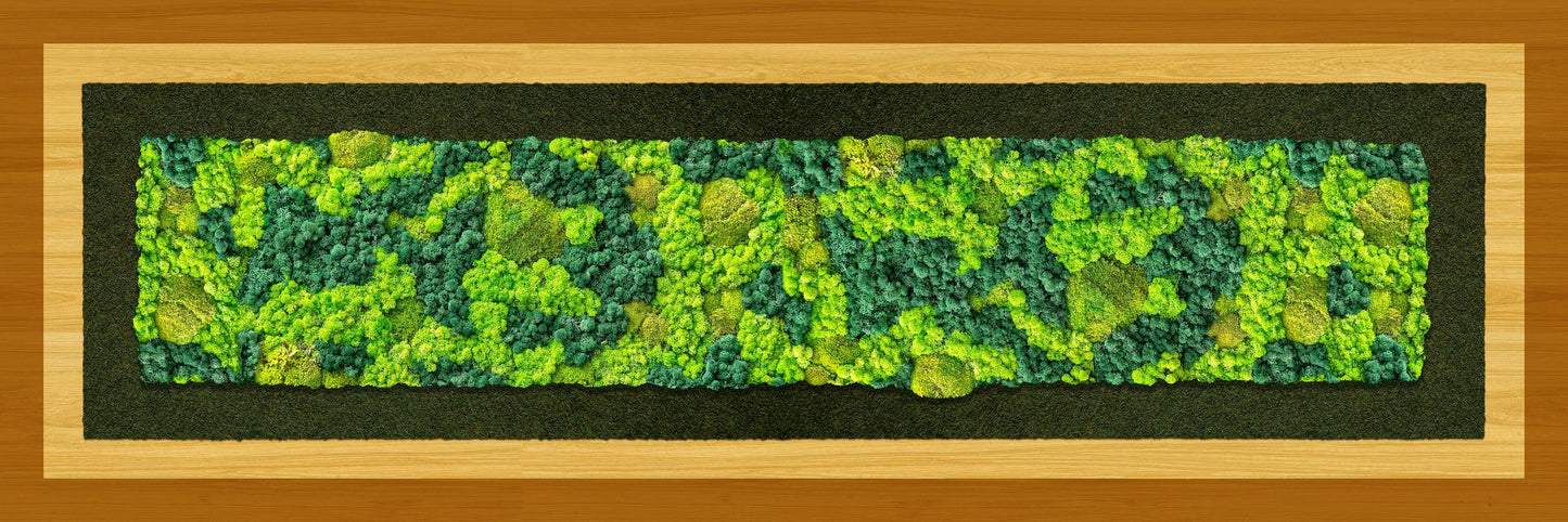 Moss Art Horizon Series