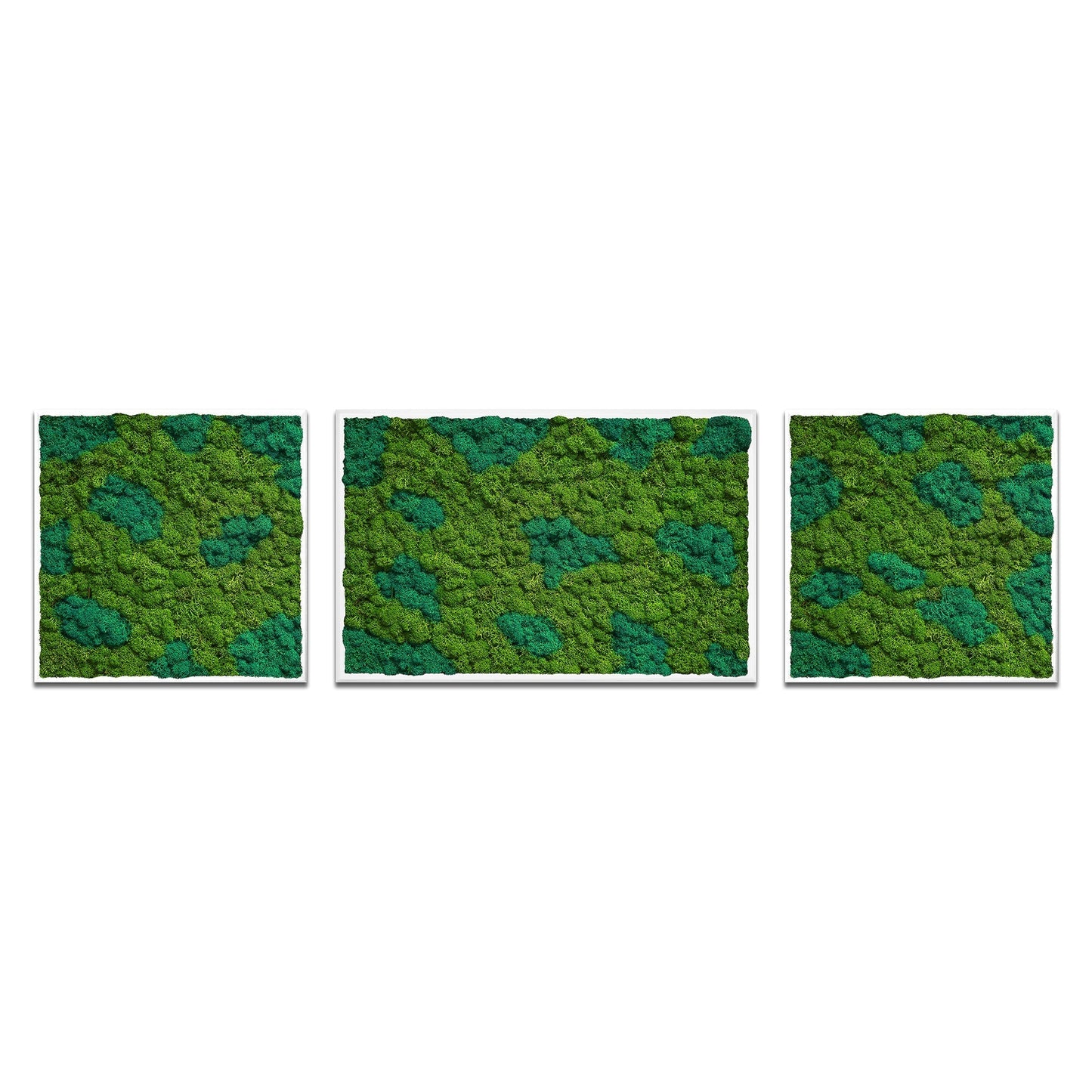 Moss Art Trio Multi Panel