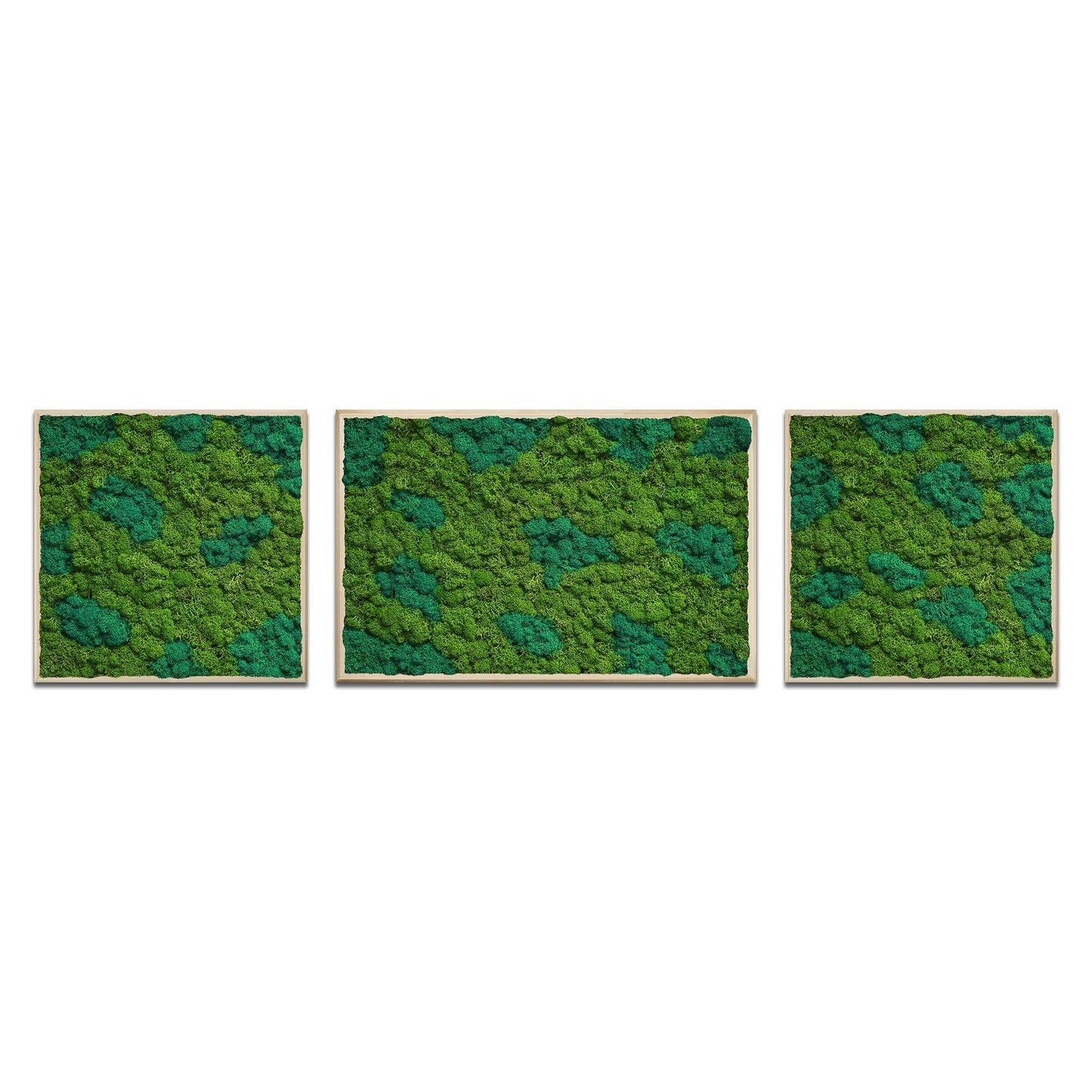 Moss Art Trio Multi Panel