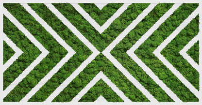 Moss Art X Design Wood Frame
