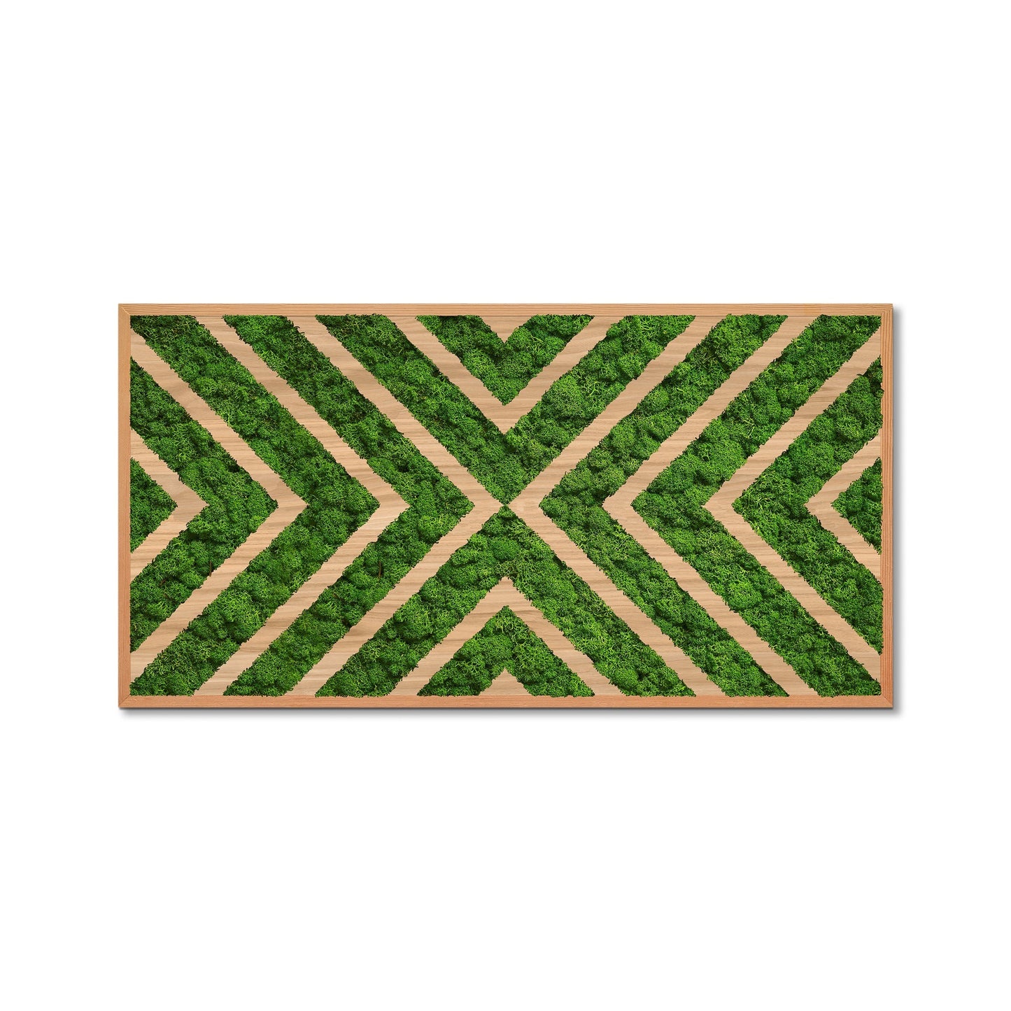 Moss Art X Design Wood Frame