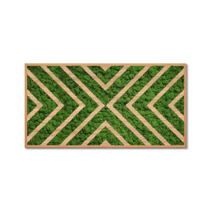 Moss Art X Design Wood Frame