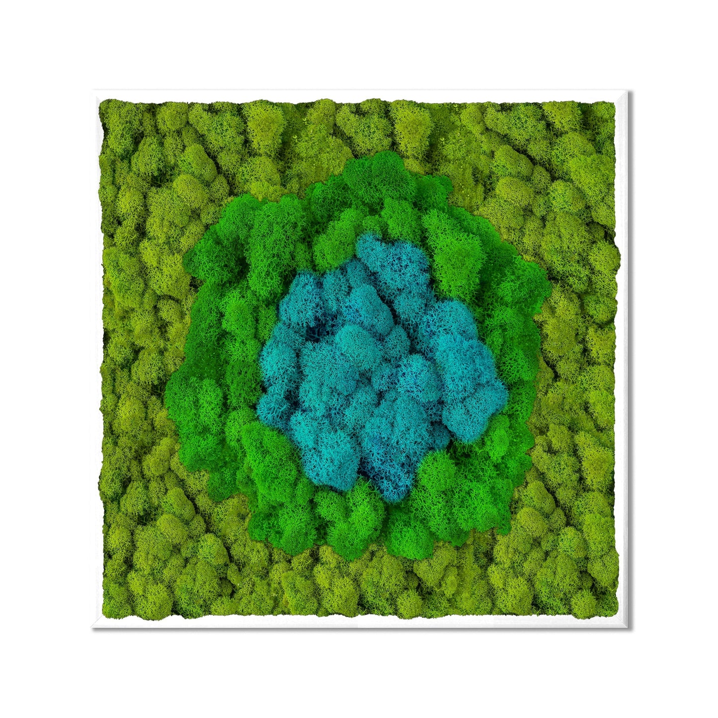 Round Blue Middle Moss Art