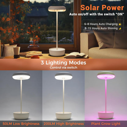 Outdoor Table Lamp Solar Table Lamp with USB-Type C
